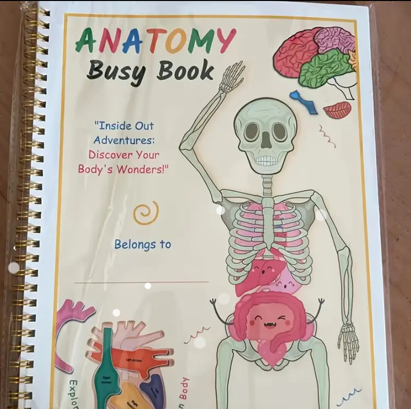 Anatomy Busy Book - Interactive Human Body Learning Activity