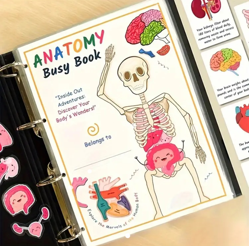 Inside Pages of Anatomy Busy Book