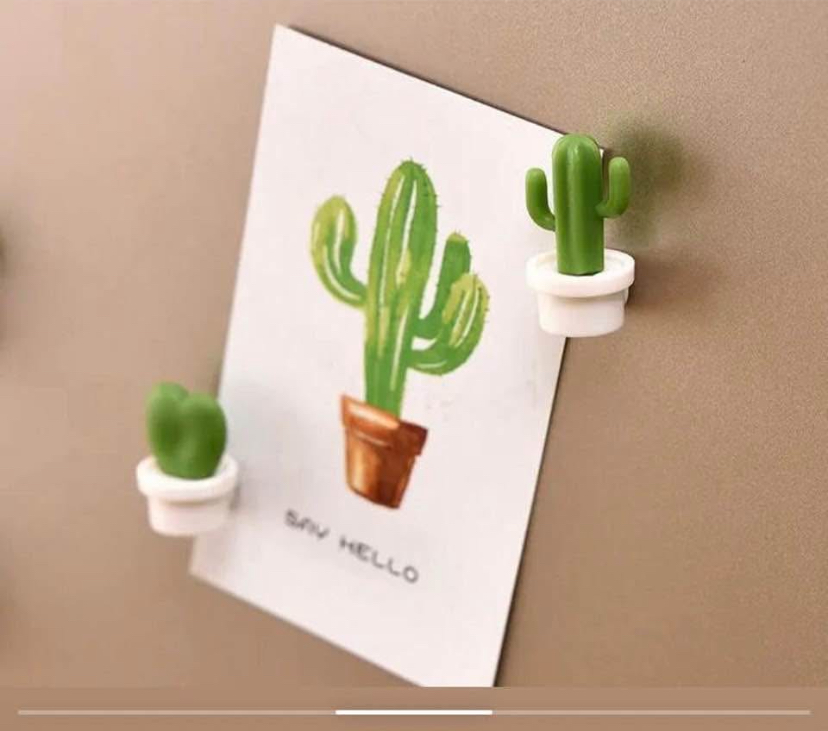 Cactus magnets on fridge door