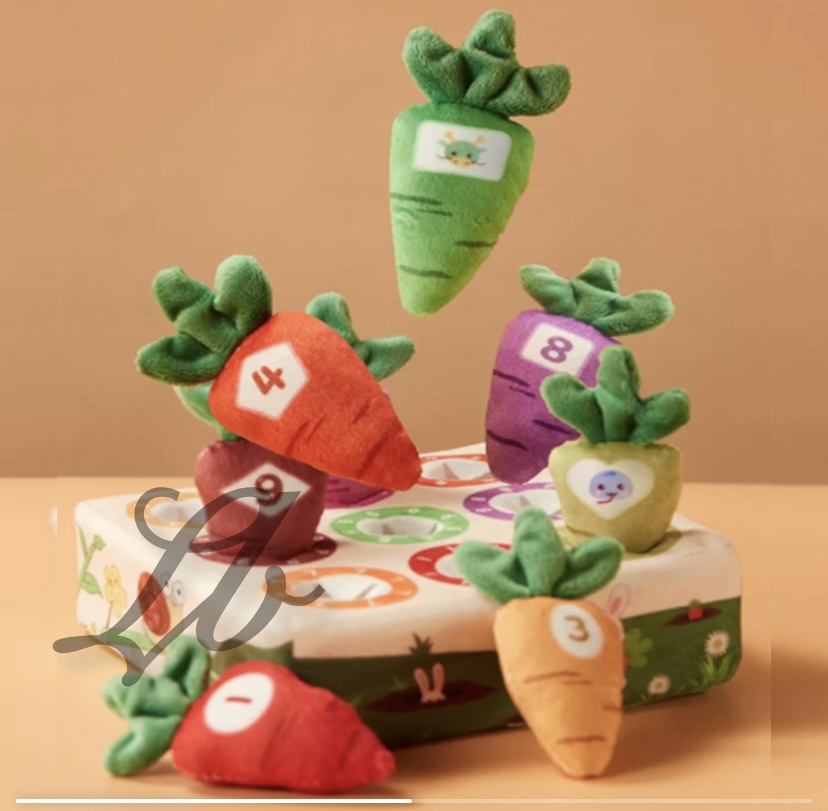 Carrot Toy