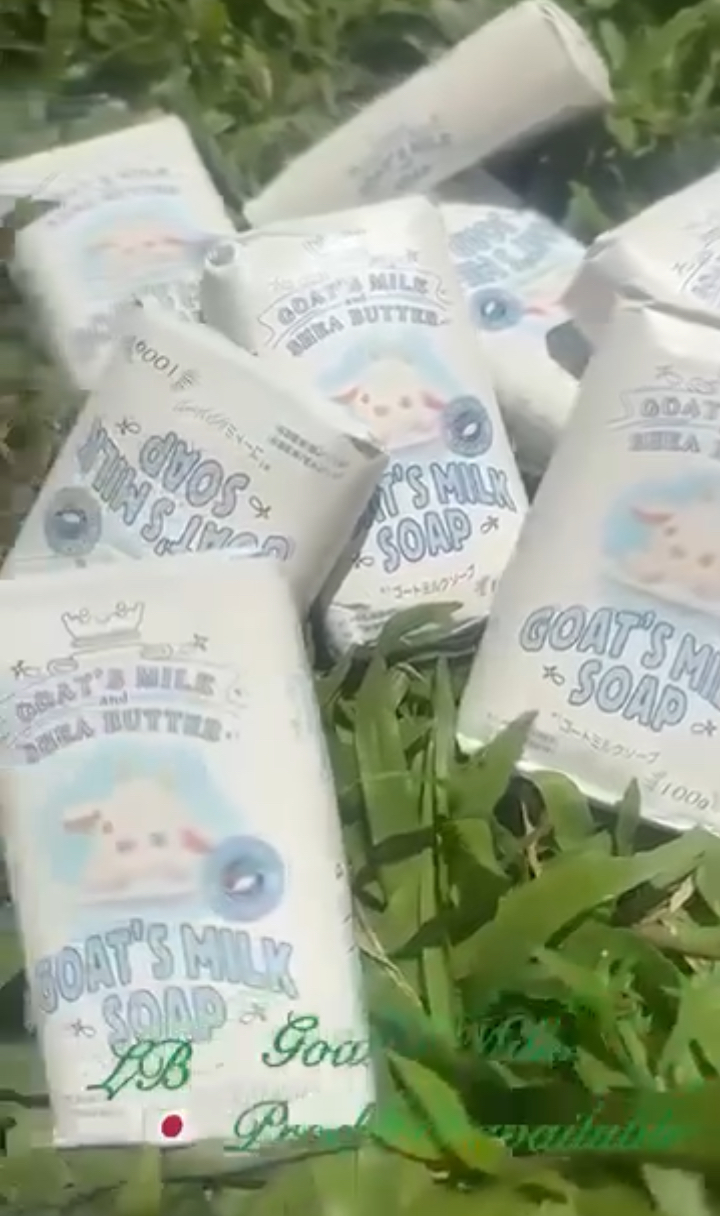 Goat milk soap image 2