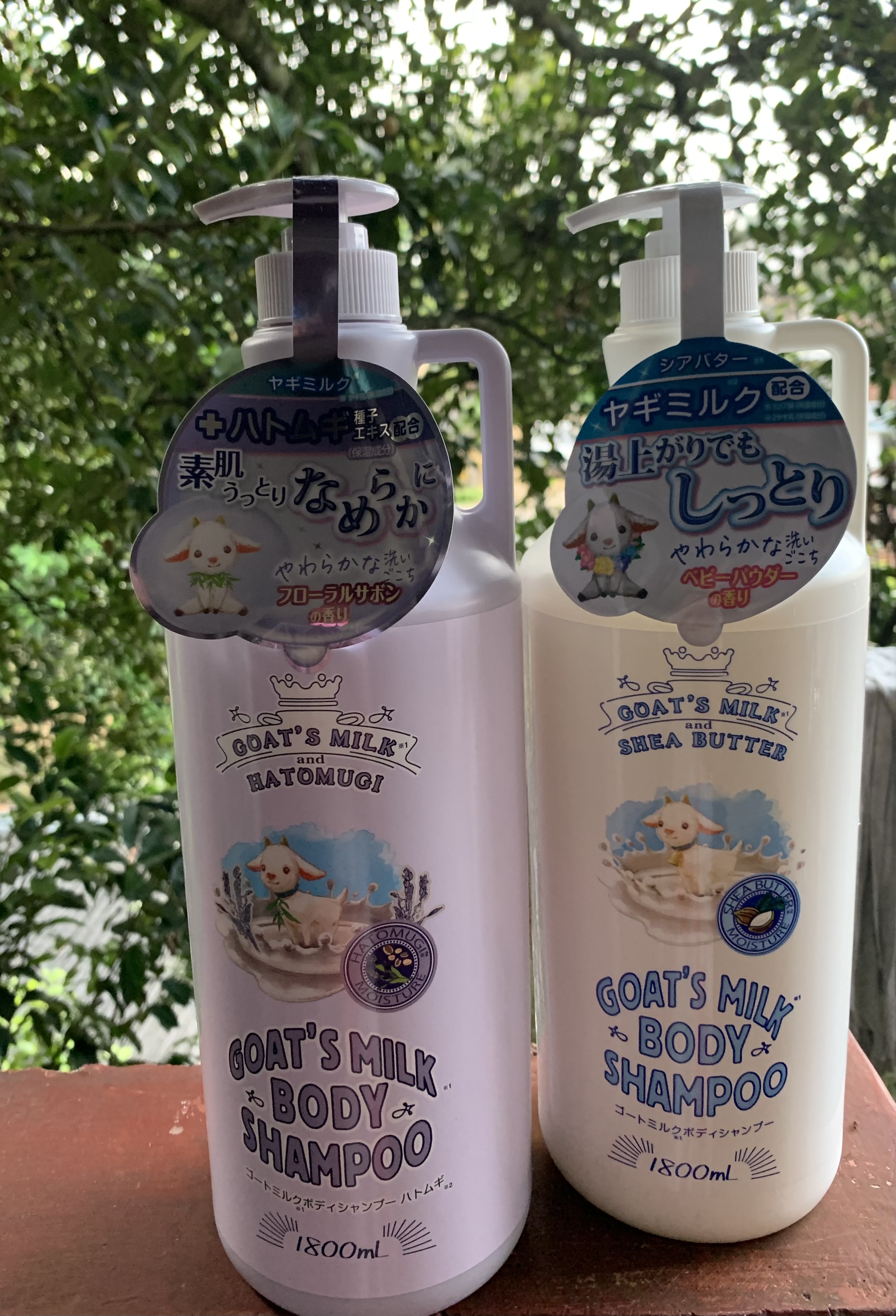 Goat's Milk Body Shampoo
