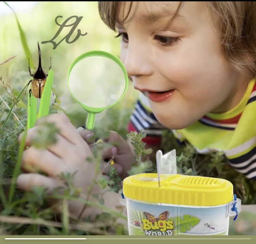 Insect Exploration Kit